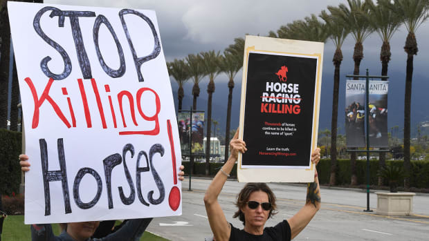 horse_racing_protestors.jpg